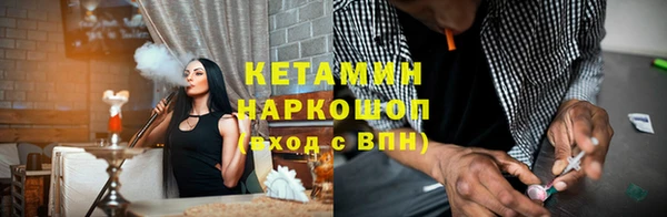 шишки Богородицк
