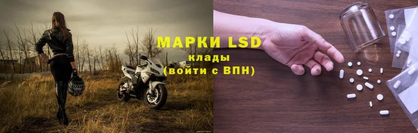 шишки Богородицк