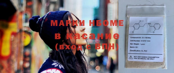 шишки Богородицк