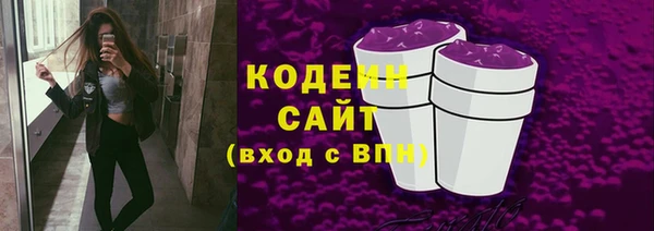 шишки Богородицк