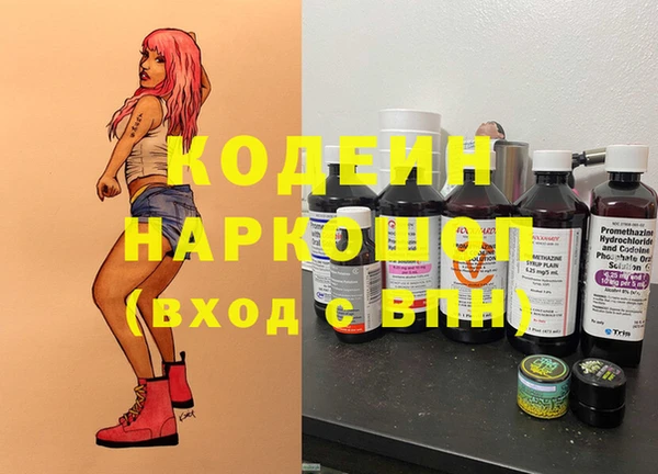 шишки Богородицк