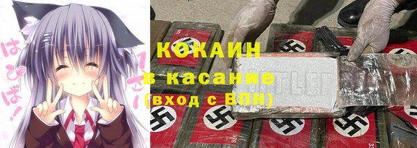 прущие крисы Богданович
