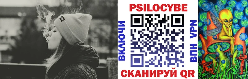 Псилоцибиновые грибы Cubensis  закладка  Дагестанские Огни 